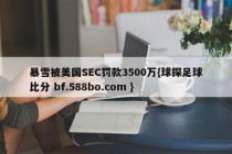 暴雪被美国SEC罚款3500万{球探足球比分 bf.588bo.com }
