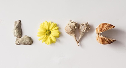 2025乒乓球全锦赛扬州