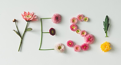 德甲拜仁慕尼黑VS柏林联合比分预测